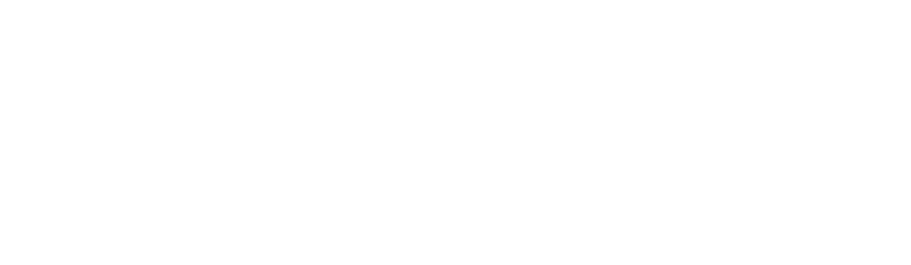 RSX — Real Sim Experience